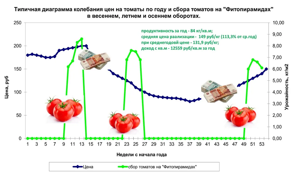 Фитопирамида (5)