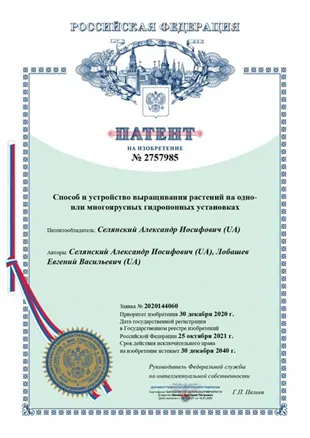 Фитопирамида (8)