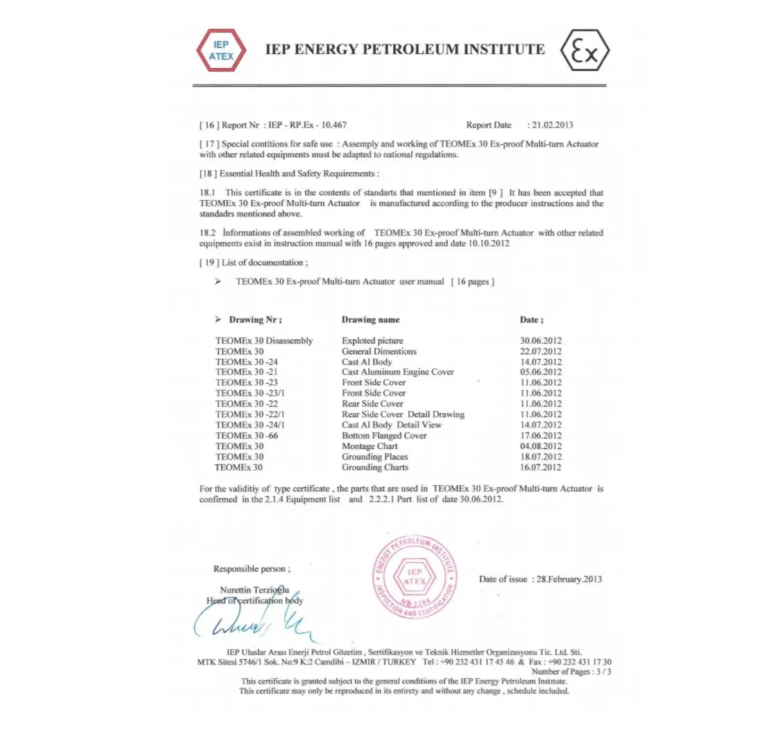 Промышленные актуаторы TEOMEx 30 (4)