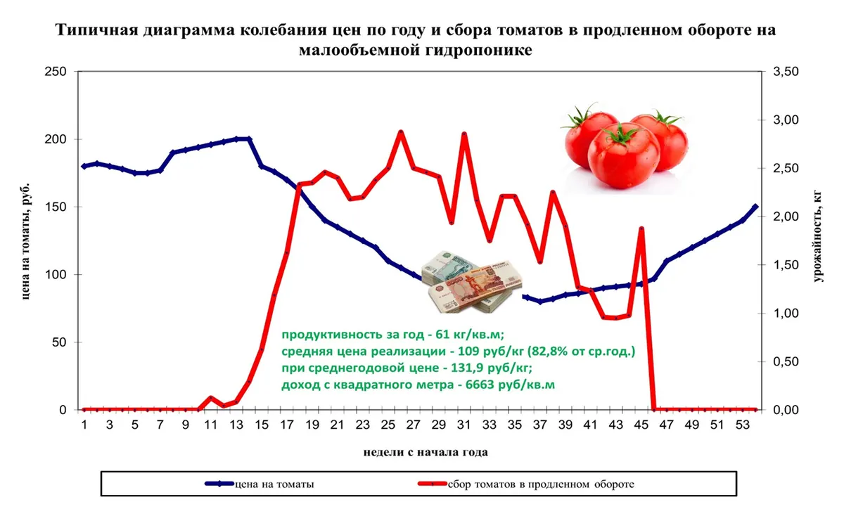 Фитопирамида (4)